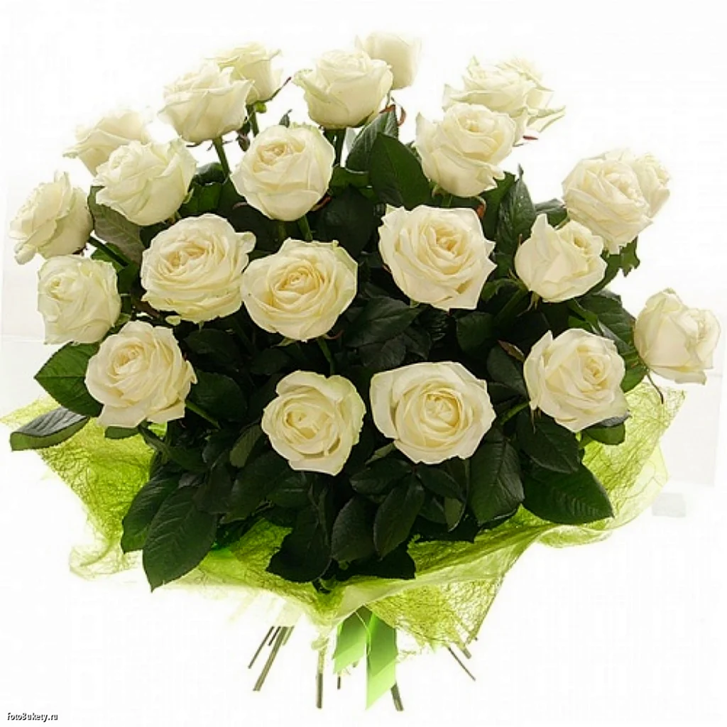 Букет белых роз. Открытка с Днем рождения. Поздравление с Днем рождения