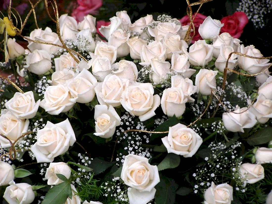 Букет белых роз с пожеланиями. Открытка с Днем рождения. Поздравление с Днем рождения
