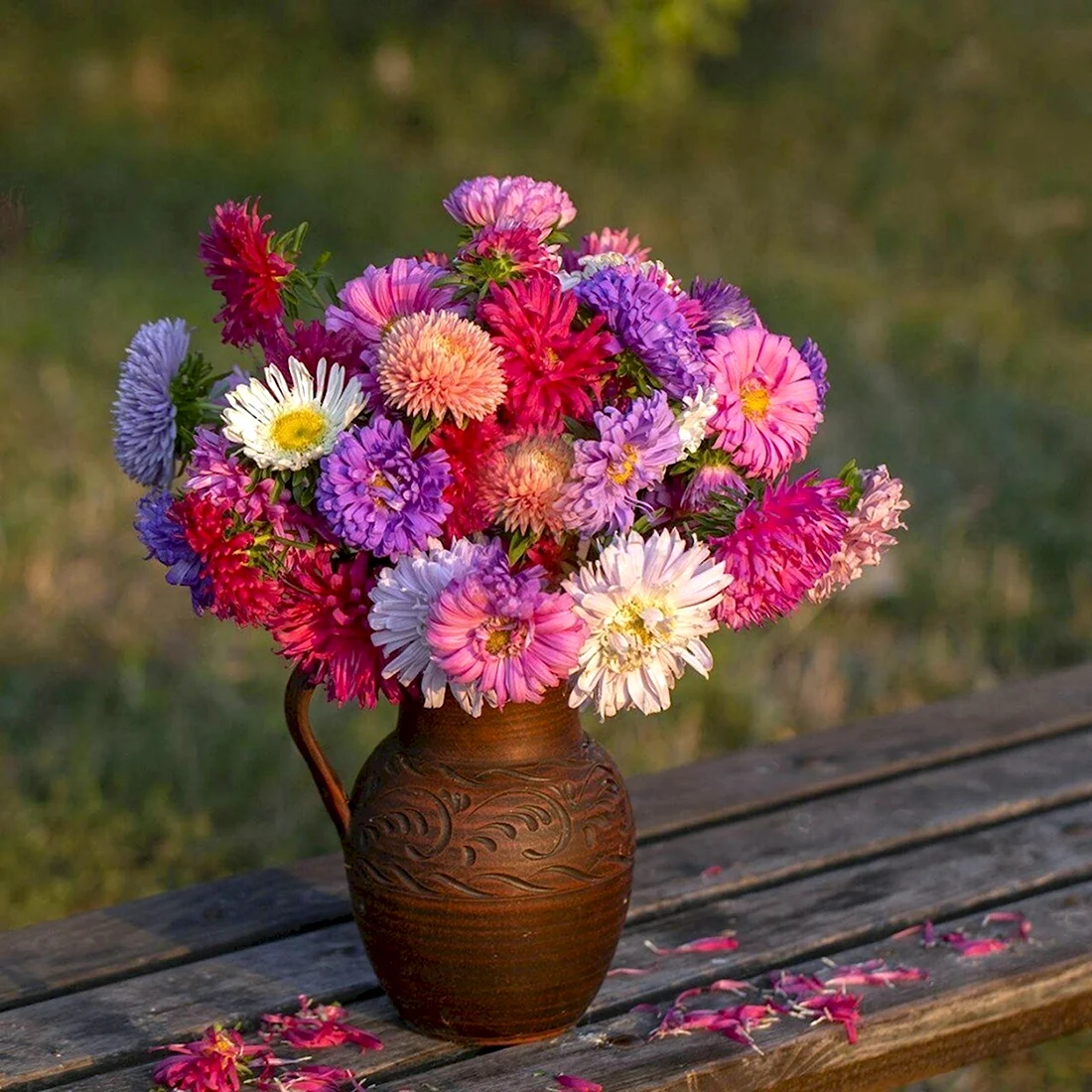 Букет осенние цветы астры сентябринки. Поздравление на праздник