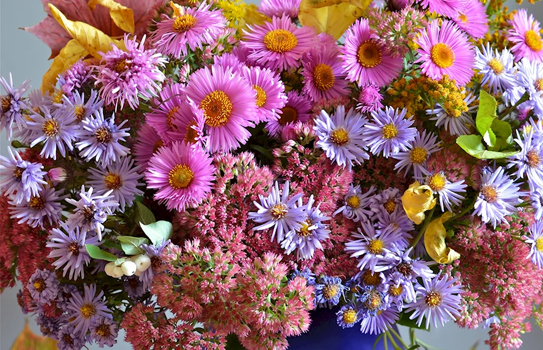 Букет осенние цветы астры сентябринки. Поздравление на праздник