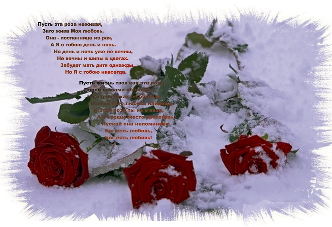 Букет роз на снегу. Открытка с Днем рождения. Поздравление с Днем рождения