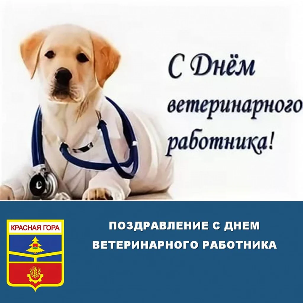 День работника ветеринарной службы. Поздравление на праздник