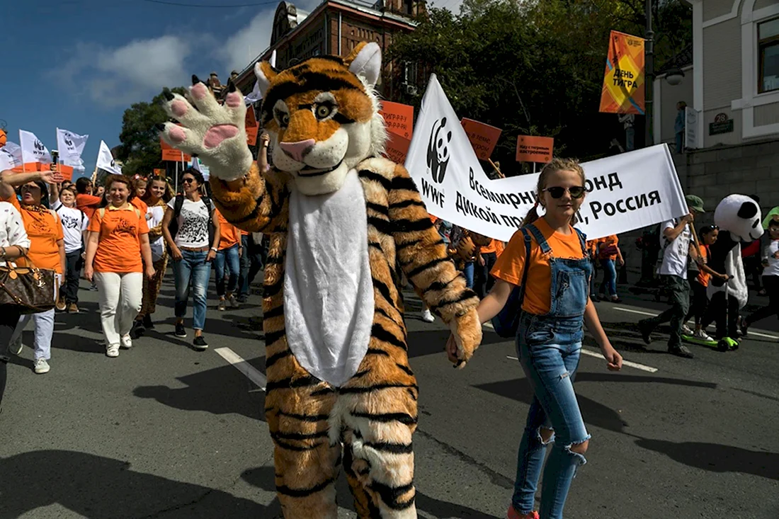 День тигра Владивосток 2021. Поздравление на праздник