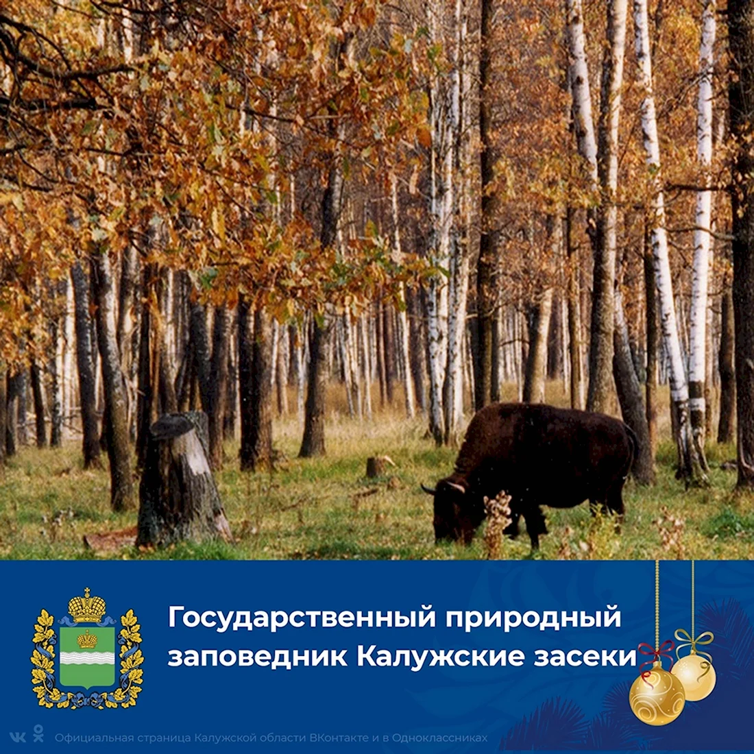 День заповедников и национальных парков России. Поздравление на праздник