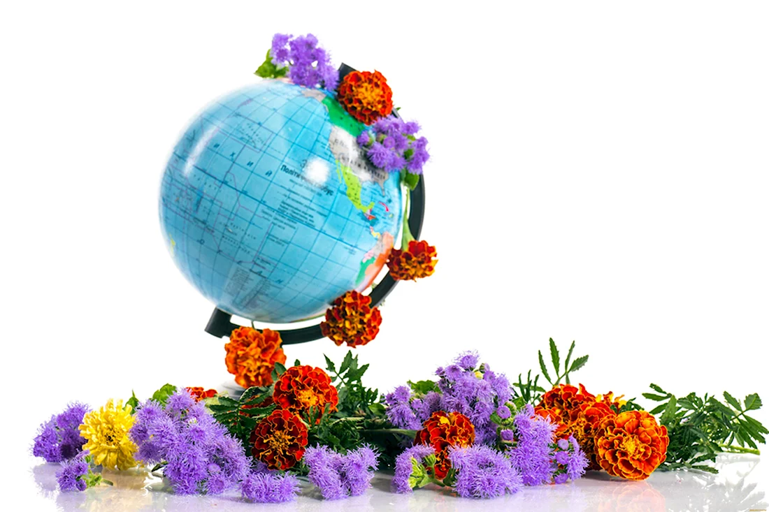 Глобус цветы. Поздравление на праздник