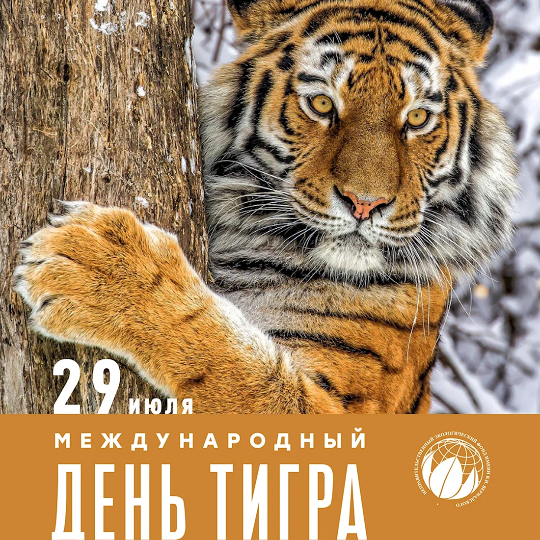 Год тигра 2022. Поздравление на праздник