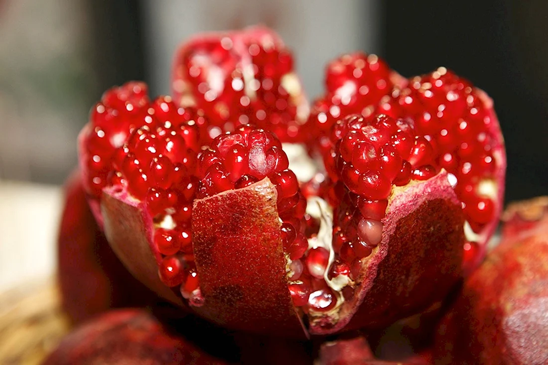 Гранат ягода. Поздравление на праздник