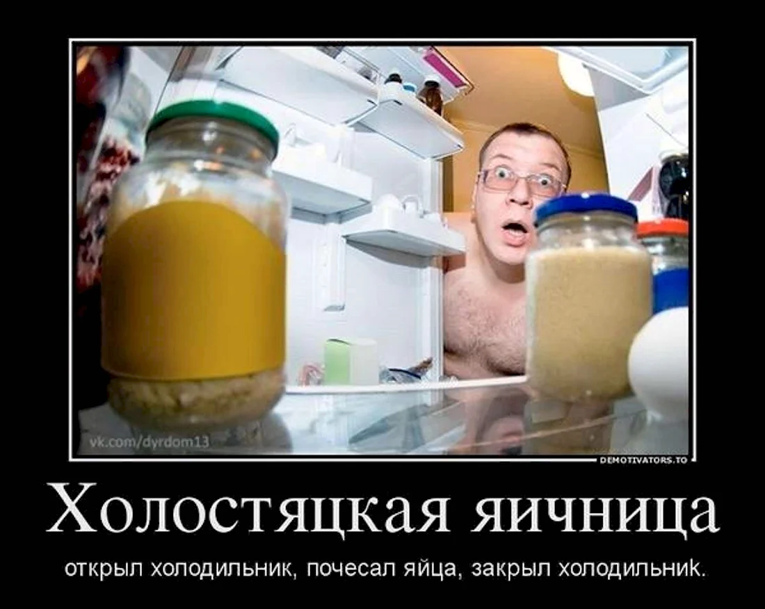 Холодильник демотиватор. Поздравление на праздник