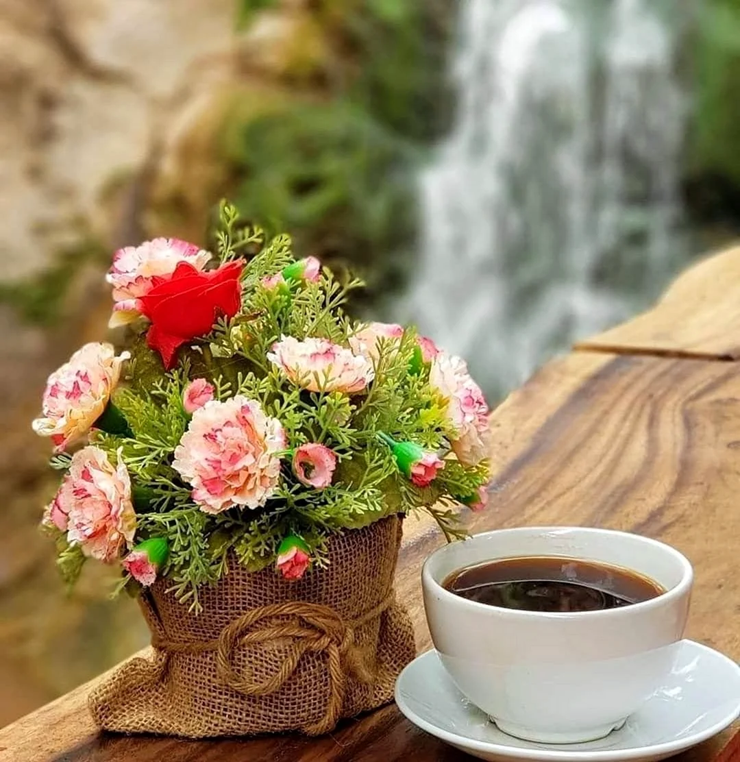 Кофе и цветы. Поздравление на праздник