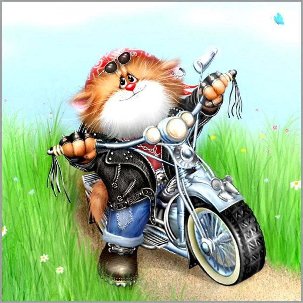 Коты на мотоцикле. Прикольная открытка