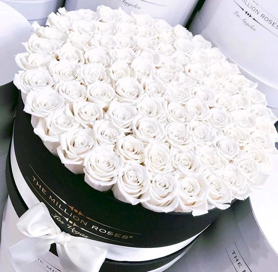 Красивые букеты цветов в белом цвете. Открытка с Днем рождения. Поздравление с Днем рождения