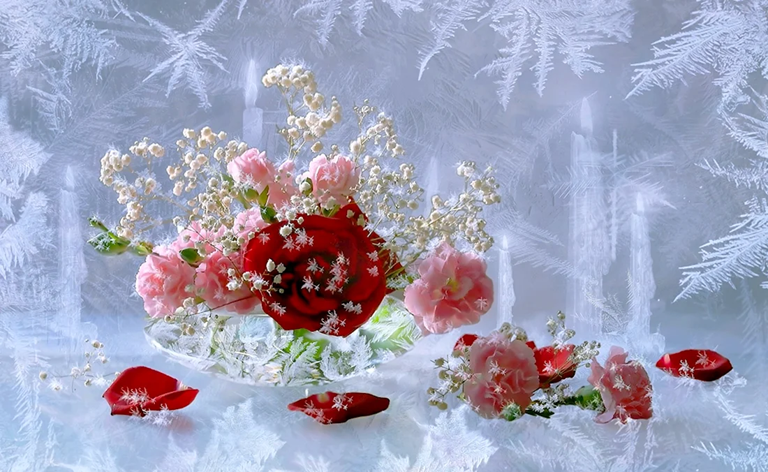 Красивые зимние цветы. Открытка с Днем рождения. Поздравление с Днем рождения