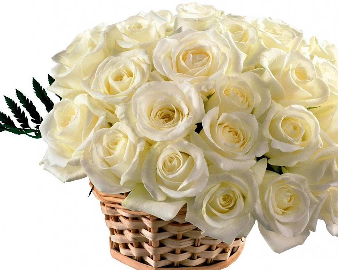 Красивый букет белых роз в корзинке. Открытка с Днем рождения. Поздравление с Днем рождения