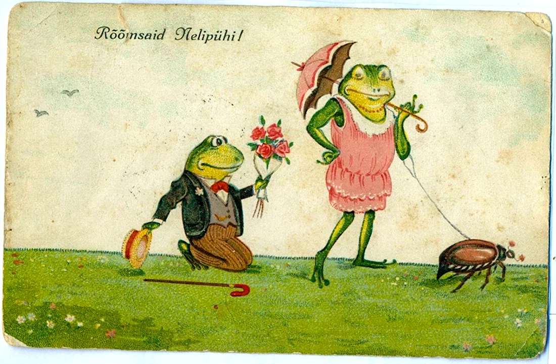Лягушонок открытка. Прикольная открытка
