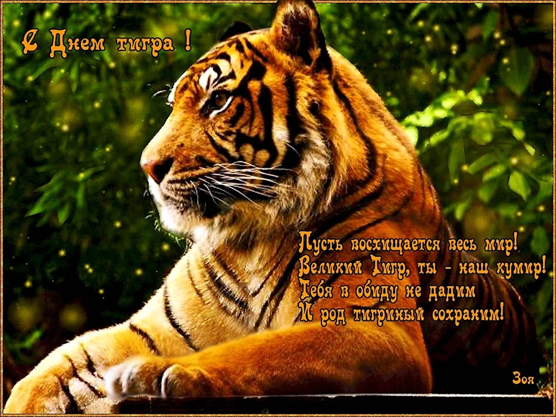 Открытка с тигром. Прикольная открытка