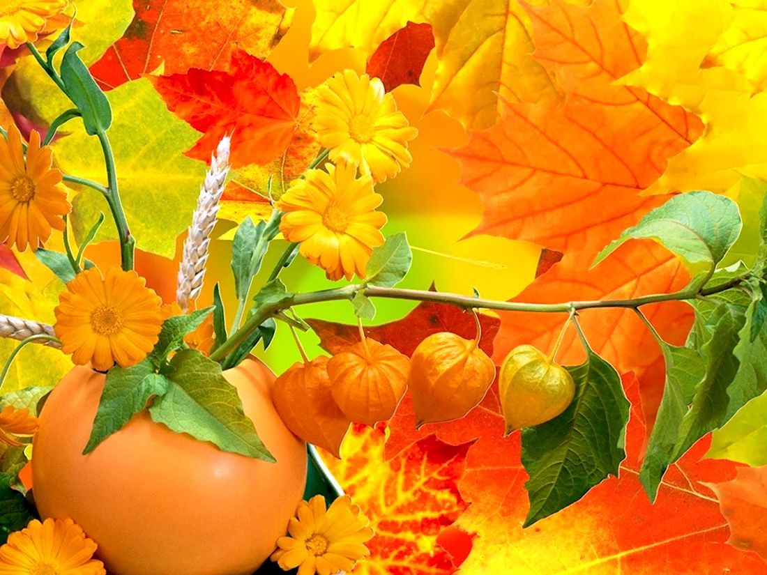 Открытки с осенними листьями и цветами. Прикольная открытка