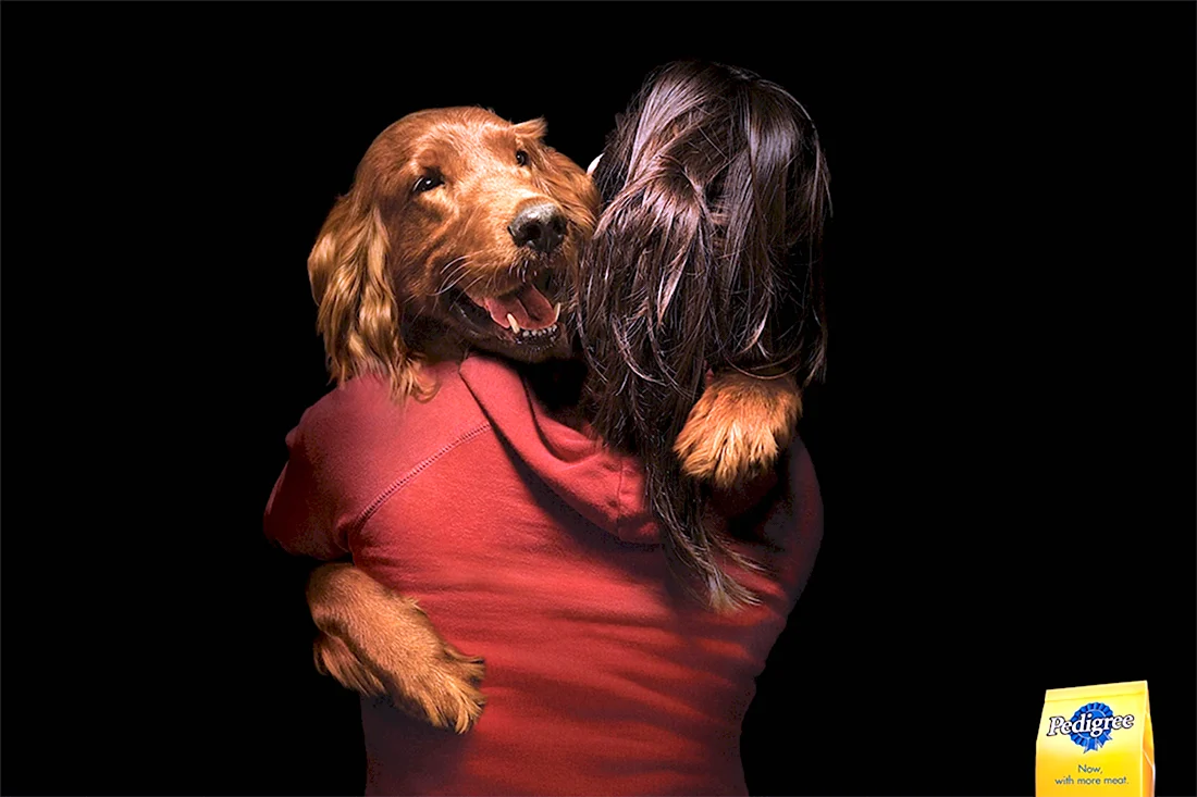 Реклама с собакой. Поздравление на праздник