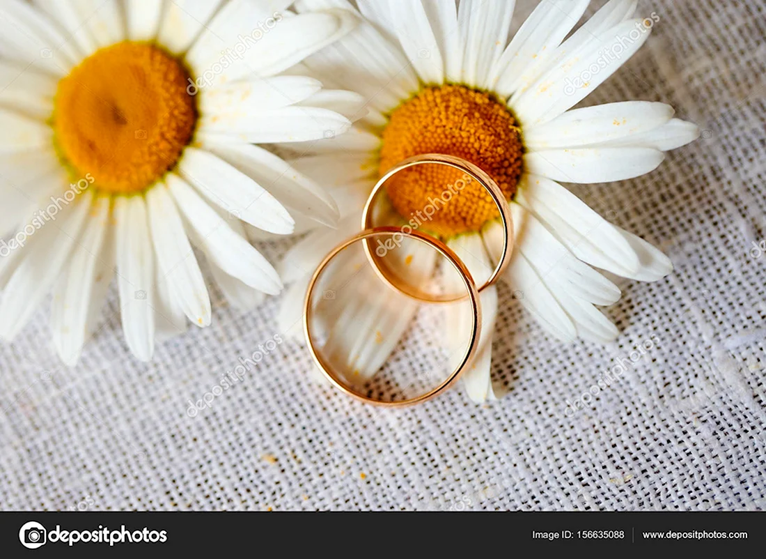 Ромашки и обручальные кольца. Свадебная открытка