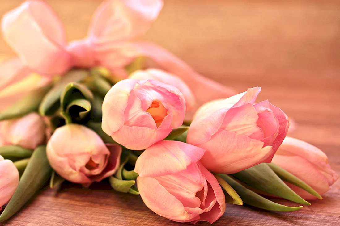 Розовые тюльпаны. Поздравление на праздник