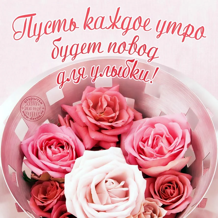 Розы с пожеланиями доброго утра и хорошего дня. Поздравление на праздник