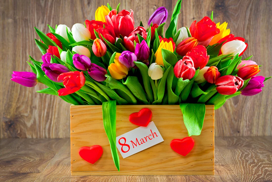 С 8 марта тюльпаны. Поздравление на праздник