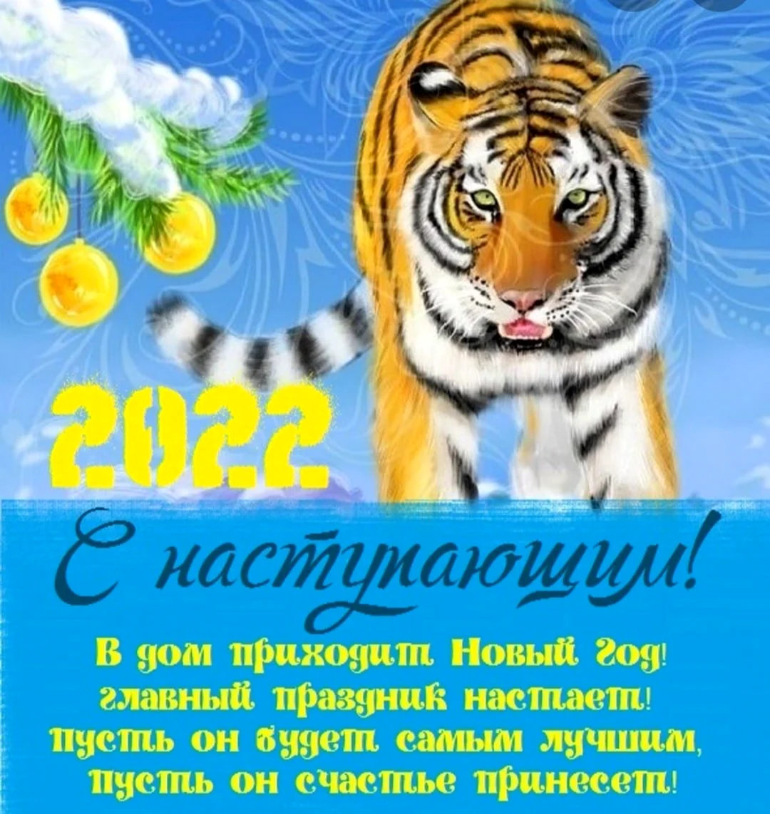 С новым годом 2022 тигр. Прикольная открытка