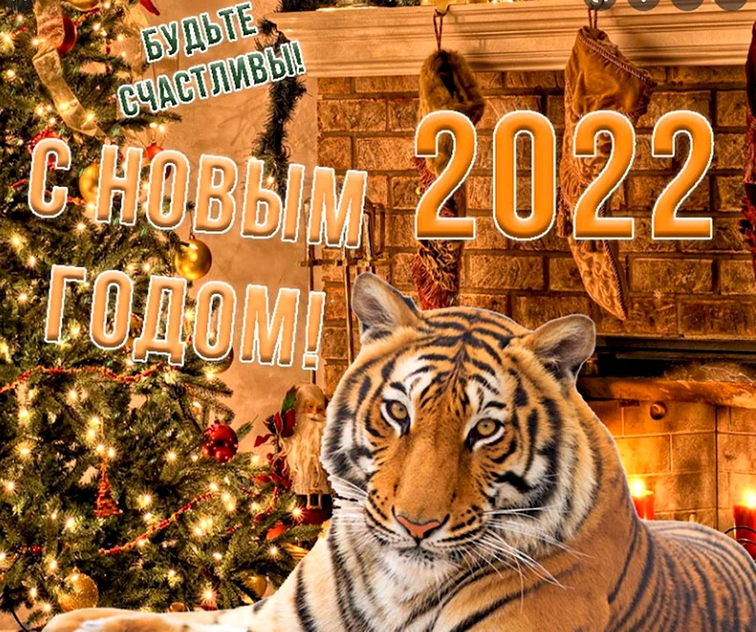 С новым годом тигра 2022. Прикольная открытка