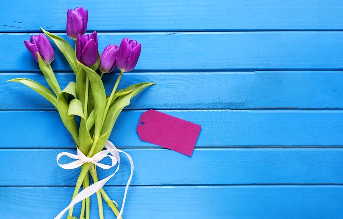 Тюльпаны на голубом фоне. Поздравление на праздник