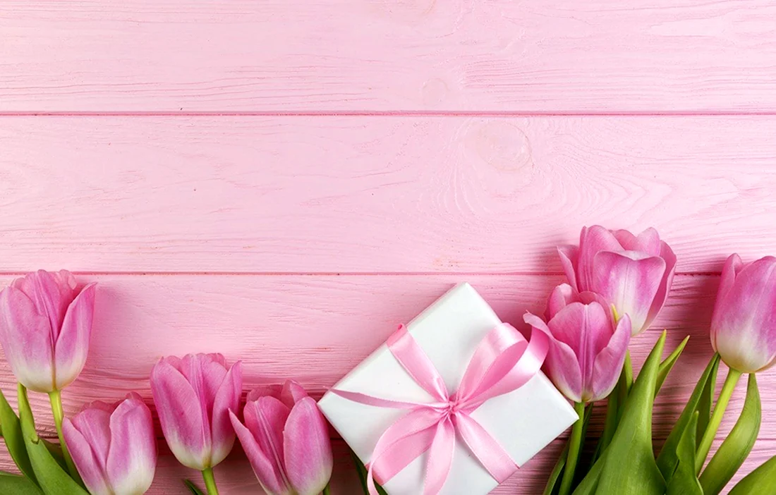 Тюльпаны на розовом фоне. Поздравление на праздник